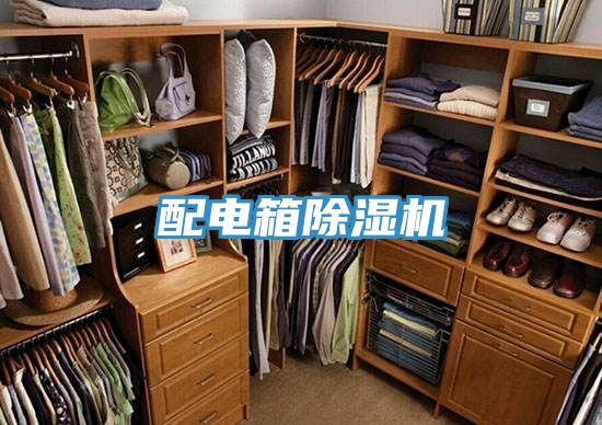 配电箱猫咪成人官网