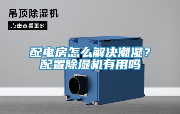 配电房怎么解决潮湿？配置猫咪成人官网有用吗