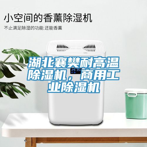 湖北襄樊耐高温猫咪成人官网，商用工业猫咪成人官网