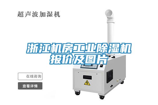 浙江机房工业猫咪成人官网报价及图片