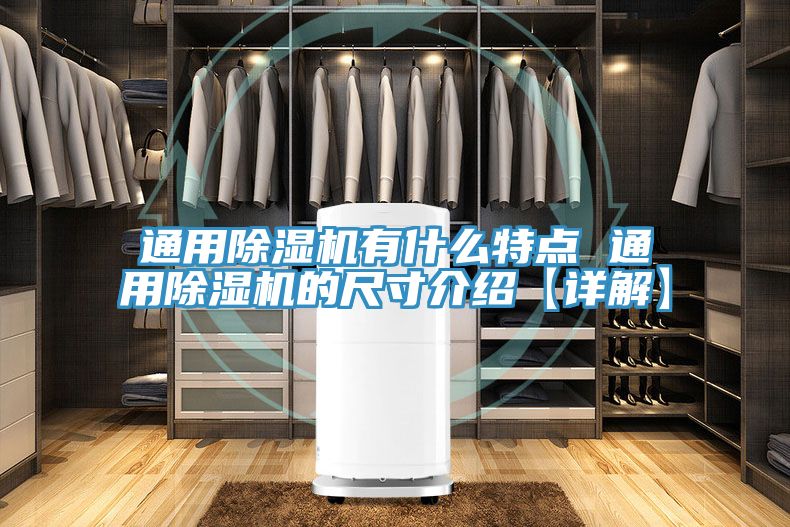 通用猫咪成人官网有什么特点 通用猫咪成人官网的尺寸介绍【详解】