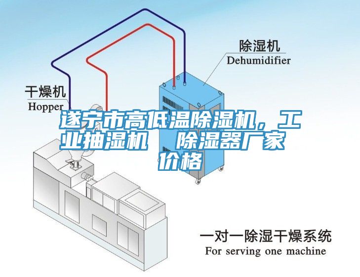 遂宁市高低温猫咪成人官网，工业抽湿机  除湿器厂家 价格