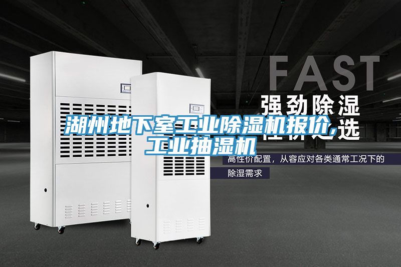 湖州地下室工业猫咪成人官网报价,工业抽湿机