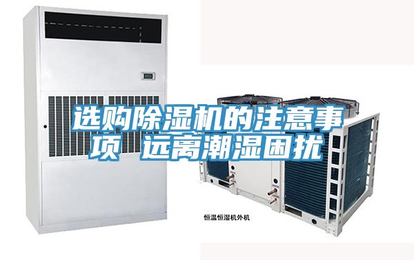 选购猫咪成人官网的注意事项 远离潮湿困扰