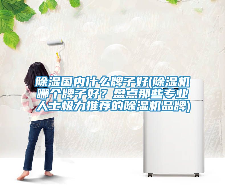 除湿国内什么牌子好(猫咪成人官网哪个牌子好？盘点那些专业人士极力推荐的猫咪成人官网品牌)