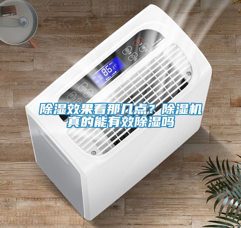除湿效果看那几点？猫咪成人官网真的能有效除湿吗