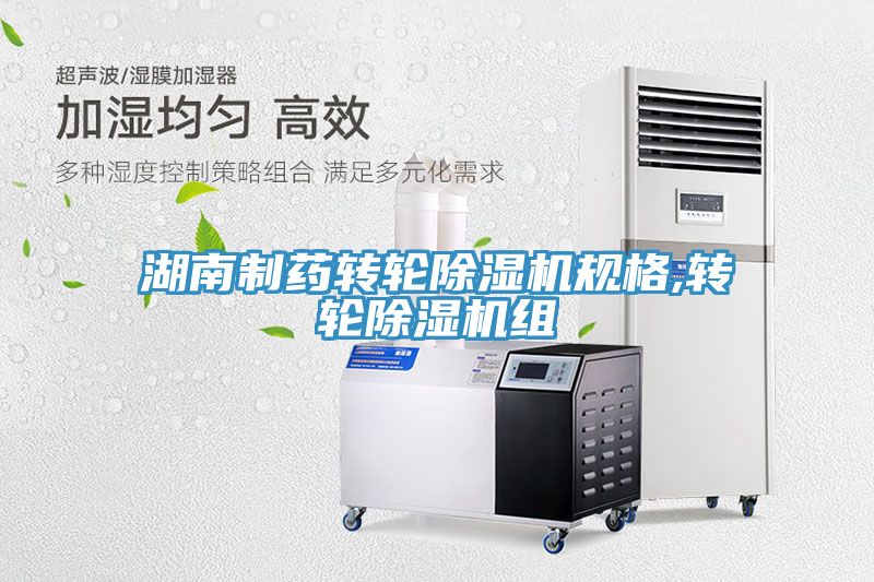 湖南制药转轮猫咪成人官网规格,转轮猫咪成人官网组