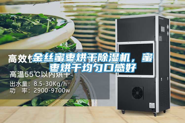 金丝蜜枣烘干猫咪成人官网，蜜枣烘干均匀口感好