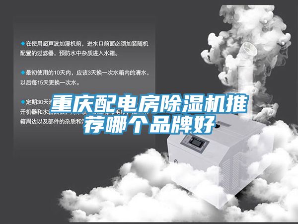 重庆配电房猫咪成人官网推荐哪个品牌好
