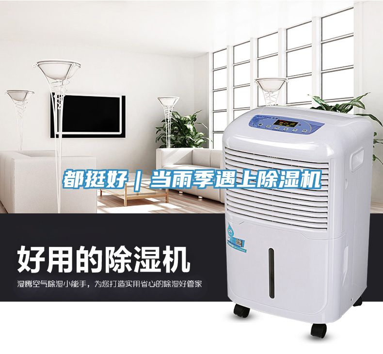 都挺好｜当雨季遇上猫咪成人官网