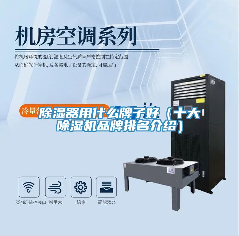 除湿器用什么牌子好（十大猫咪成人官网品牌排名介绍）