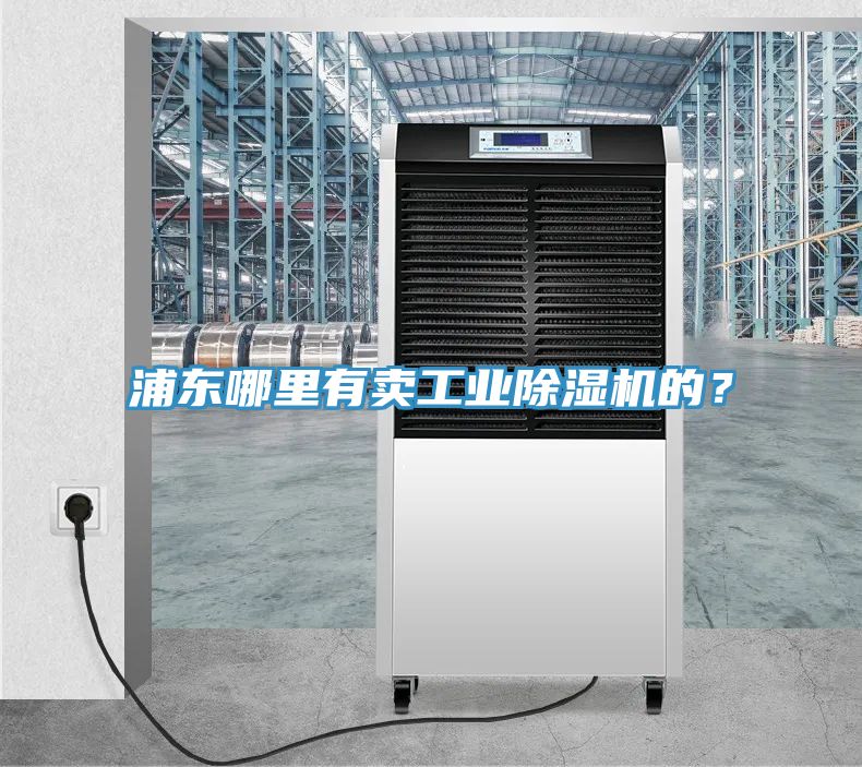 浦东哪里有卖工业猫咪成人官网的？