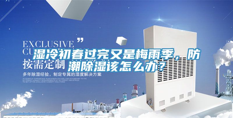 湿冷初春过完又是梅雨季，防潮除湿该怎么办？