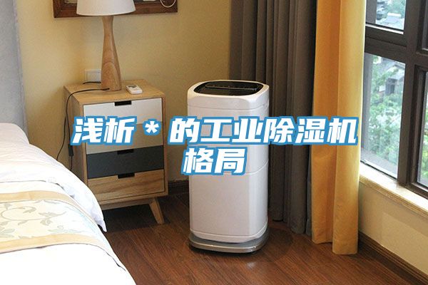 浅析＊的工业猫咪成人官网格局