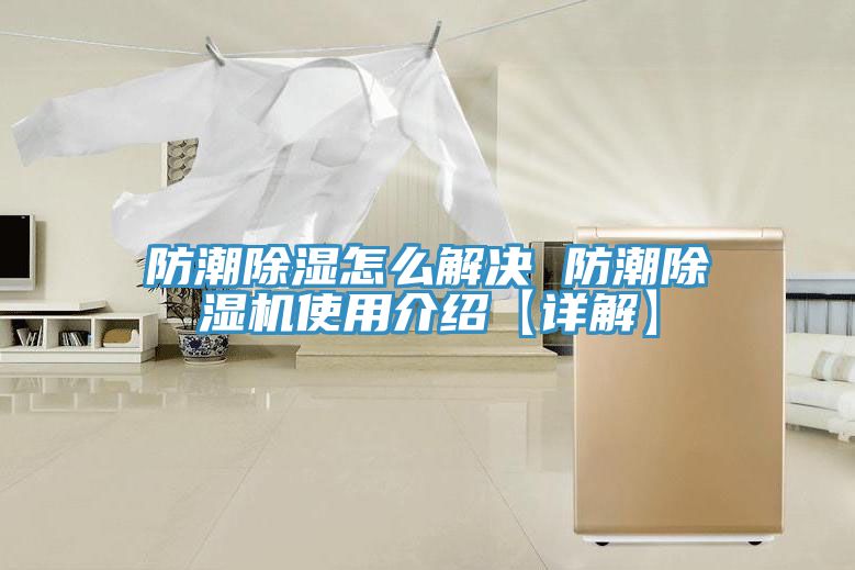 防潮除湿怎么解决 防潮猫咪成人官网使用介绍【详解】