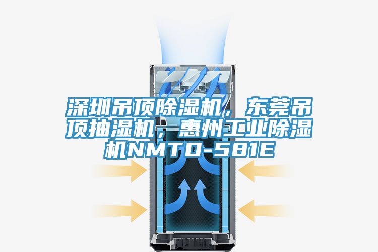 深圳吊顶猫咪成人官网，东莞吊顶抽湿机，惠州工业猫咪成人官网NMTD-581E