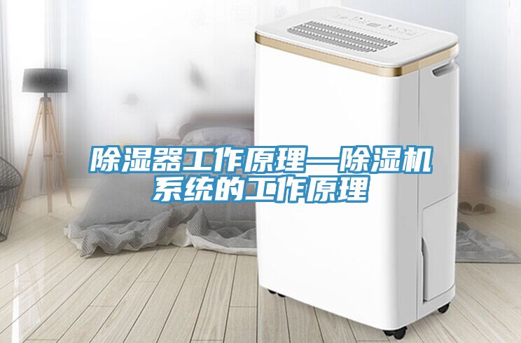 除湿器工作原理—猫咪成人官网系统的工作原理