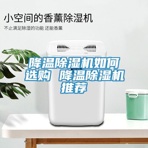 降温猫咪成人官网如何选购 降温猫咪成人官网推荐