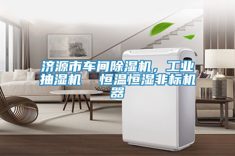 济源市车间猫咪成人官网，工业抽湿机  恒温恒湿非标机器