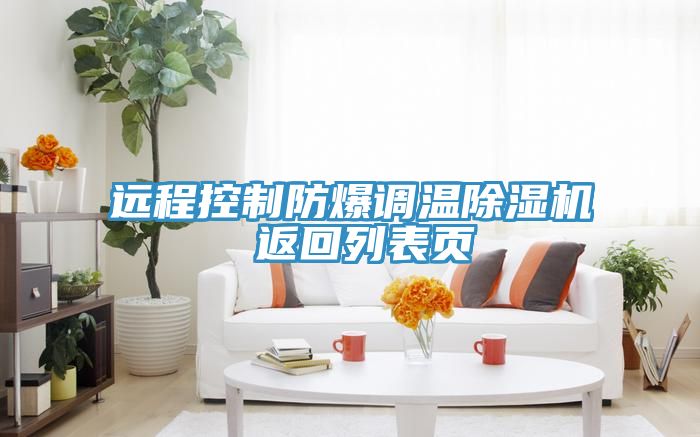 远程控制防爆调温猫咪成人官网 返回列表页