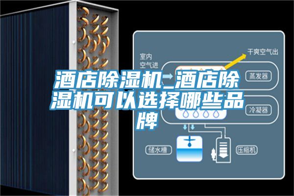 酒店猫咪成人官网_酒店猫咪成人官网可以选择哪些品牌