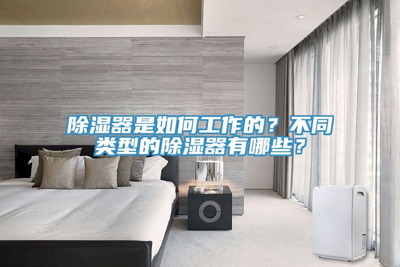 除湿器是如何工作的？不同类型的除湿器有哪些？