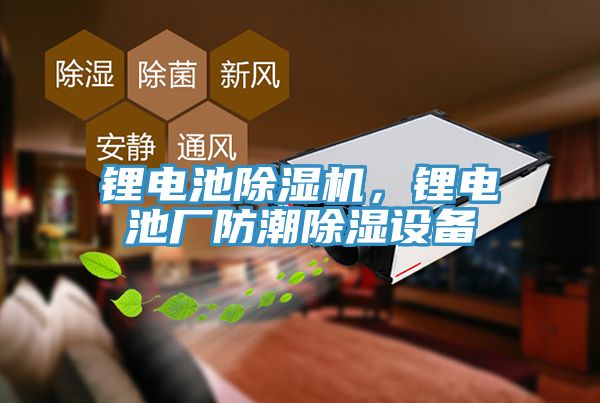 锂电池猫咪成人官网，锂电池厂防潮除湿设备