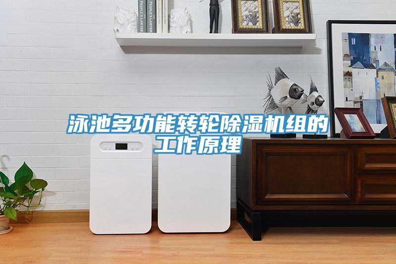 泳池多功能转轮猫咪成人官网组的工作原理