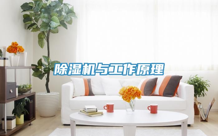 猫咪成人官网与工作原理