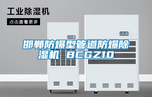 邯郸防爆型管道防爆猫咪成人官网 BCGZ10