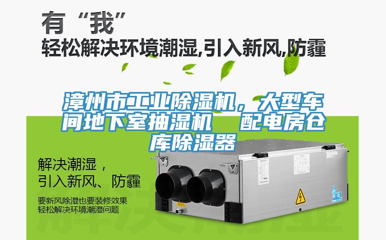 漳州市工业猫咪成人官网，大型车间地下室抽湿机  配电房仓库除湿器