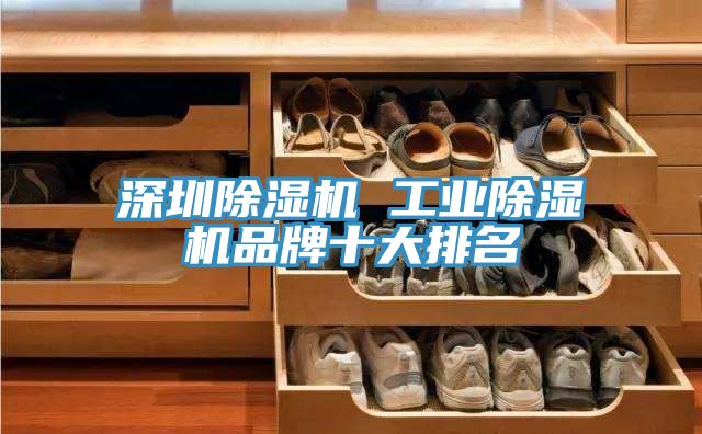 深圳猫咪成人官网 工业猫咪成人官网品牌十大排名