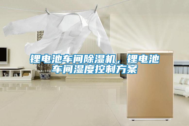 锂电池车间猫咪成人官网，锂电池车间湿度控制方案