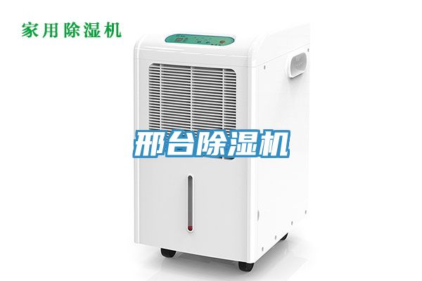 邢台猫咪成人官网