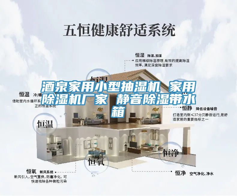 酒泉家用小型抽湿机 家用猫咪成人官网厂家 静音除湿带水箱