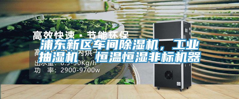 浦东新区车间猫咪成人官网，工业抽湿机  恒温恒湿非标机器