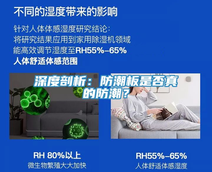 深度剖析：防潮板是否真的防潮？