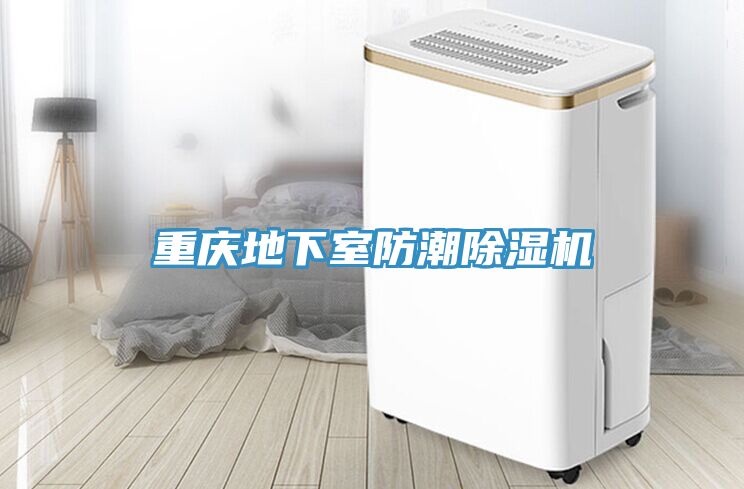 重庆地下室防潮猫咪成人官网