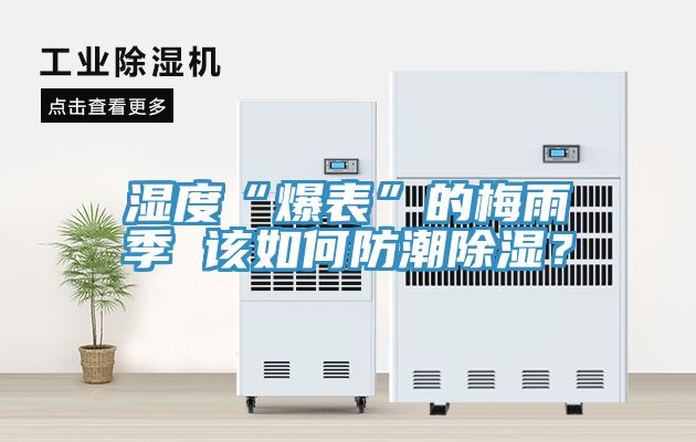 湿度“爆表”的梅雨季 该如何防潮除湿？