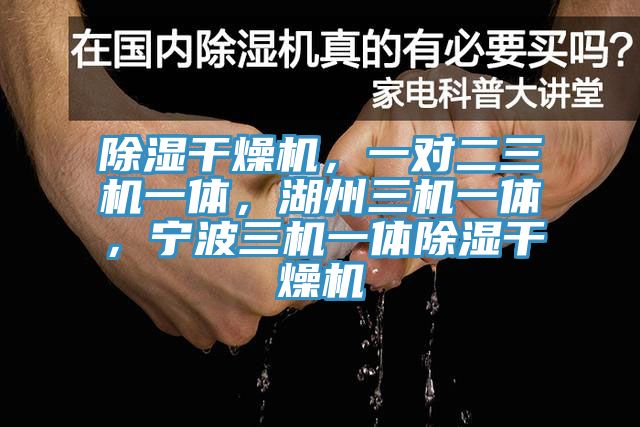 除湿干燥机，一对二三机一体，湖州三机一体，宁波三机一体除湿干燥机