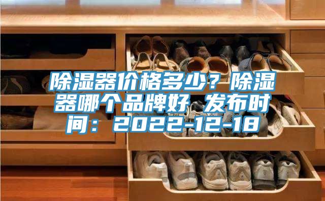 除湿器价格多少？除湿器哪个品牌好 发布时间：2022-12-18