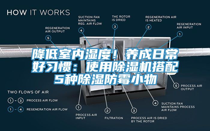 降低室内湿度！养成日常好习惯：使用猫咪成人官网搭配5种除湿防霉小物