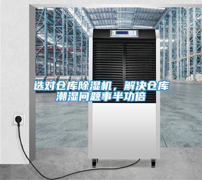 选对仓库猫咪成人官网，解决仓库潮湿问题事半功倍