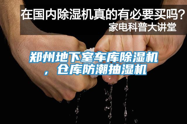 郑州地下室车库猫咪成人官网，仓库防潮抽湿机