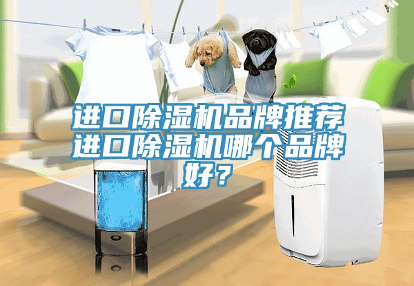 进口猫咪成人官网品牌推荐进口猫咪成人官网哪个品牌好？