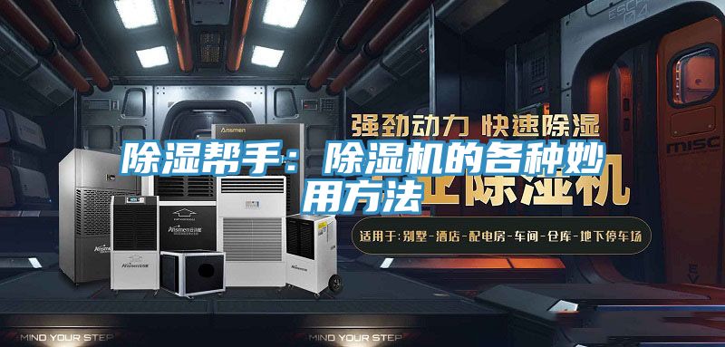 除湿帮手：猫咪成人官网的各种妙用方法