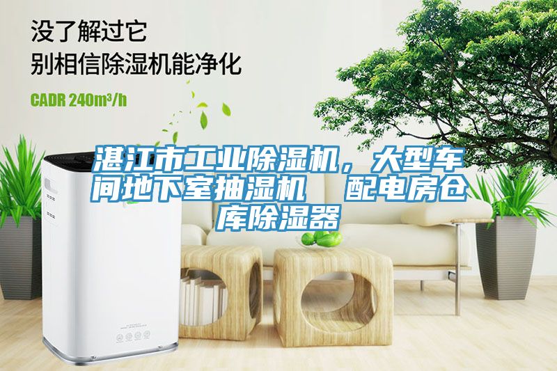 湛江市工业猫咪成人官网，大型车间地下室抽湿机  配电房仓库除湿器