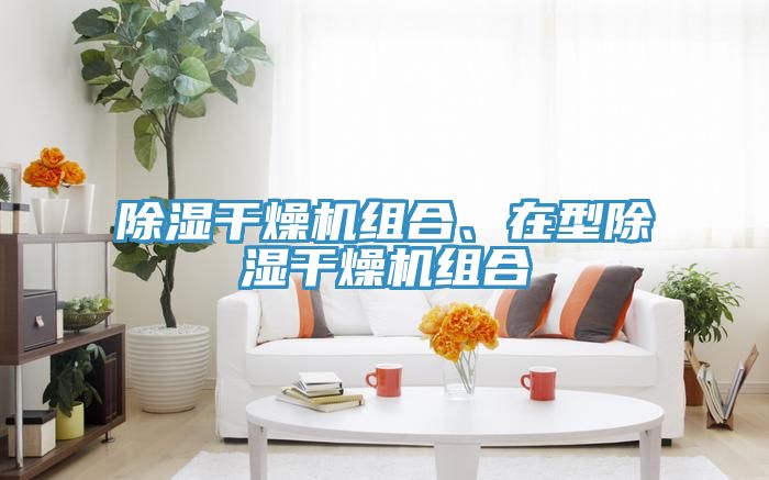 除湿干燥机组合、在型除湿干燥机组合