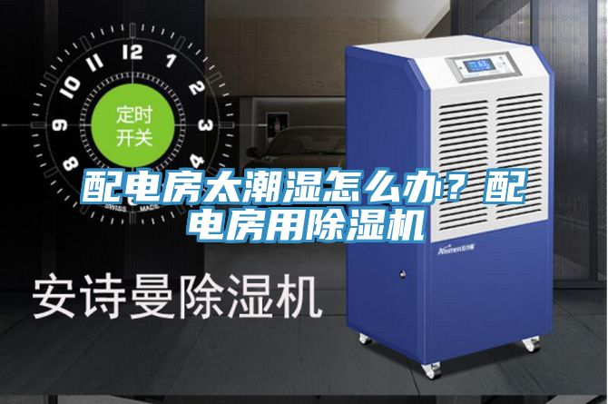 配电房太潮湿怎么办？配电房用猫咪成人官网