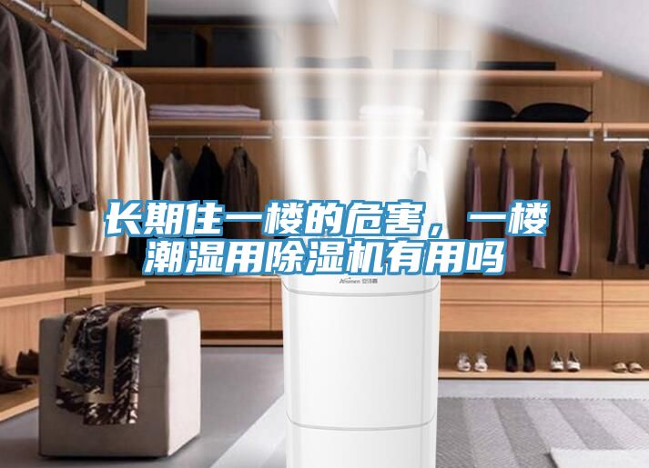 长期住一楼的危害，一楼潮湿用猫咪成人官网有用吗